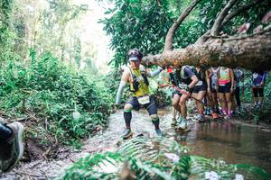 BIB: 
                            <button type="button" onclick="openModal(25469742)" class="btn btn-primary btn-sm float-right btn-popup" data-toggle="modal" data-target=".modal-high-quality">
                        <i class="fas fa-shopping-cart"></i> Add to Cart
                    </button>
                                            <button type="button" onclick="isThisMe(25469742, true)" class="btn btn-success btn-sm float-right btn-popup btn-isme hidden" data-toggle="tooltip" data-placement="bottom" title="นี่คือรูปของคุณใช่ไหม คลิกที่นี่เพื่อเอาเข้าอัลบั้ม">
                        <i class="fas fa-plus"></i> Add to album
                    </button>
                    <button type="button" onclick="isThisMe(25469742, false)" class="btn btn-warning btn-sm float-right btn-popup btn-isnotme hidden">
                        <i class="fas fa-ban"></i> Remove from album
                    </button>